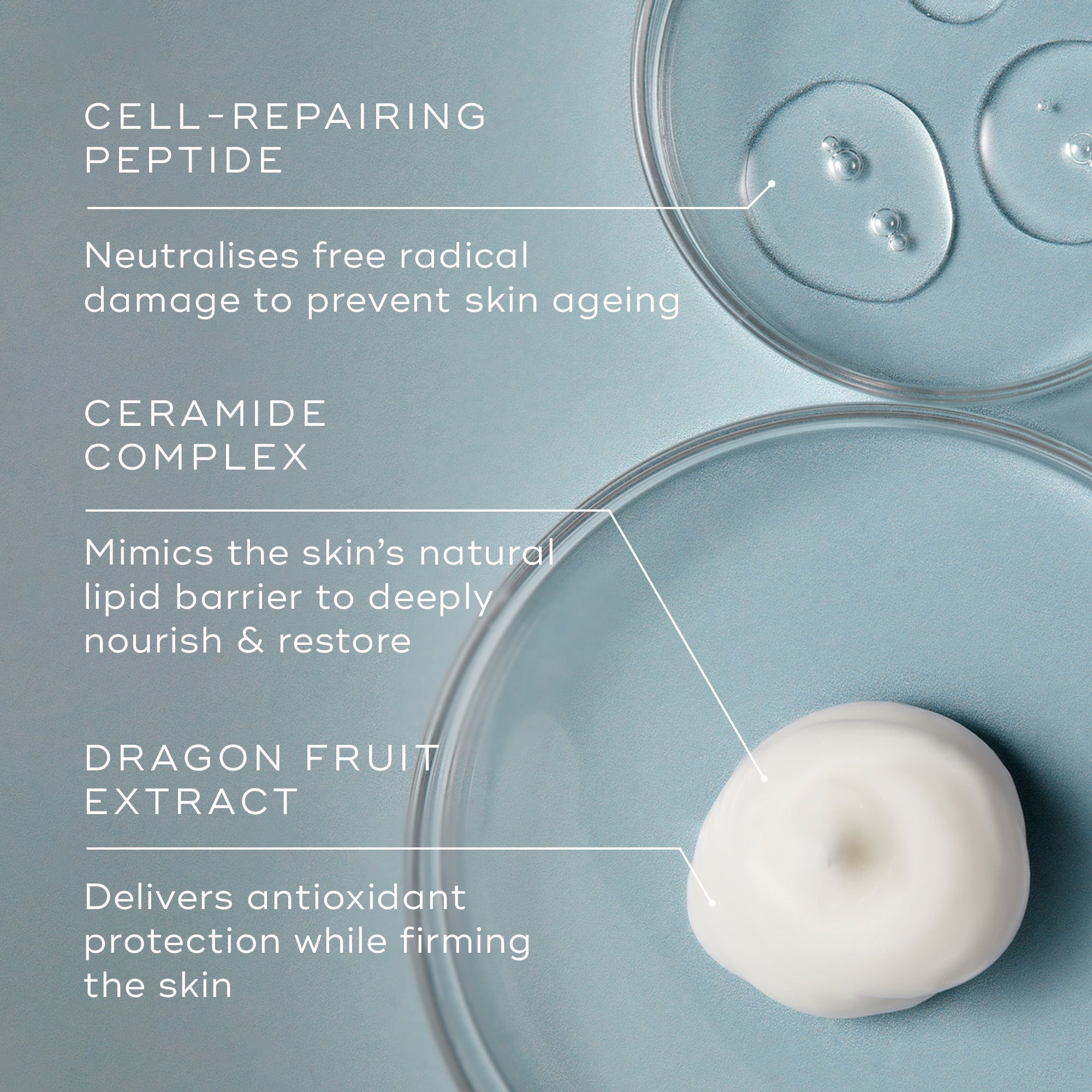 Advanced Night Restore™ (Travel Size)