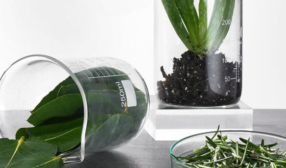 INGREDIENT GLOSSARY?